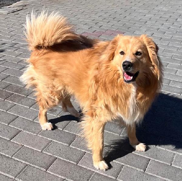 DIOR cerca casa Foto 2